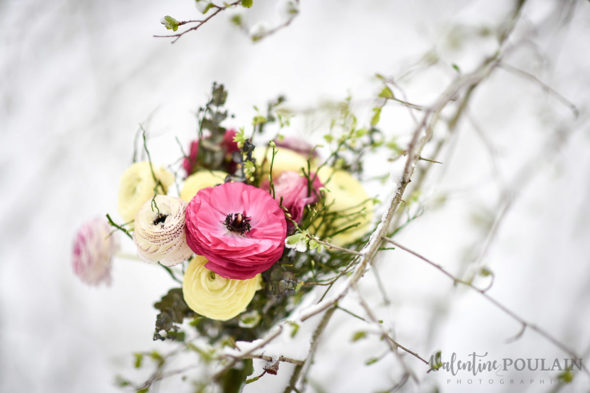 Fleurs neige - Valentine Poulain.JPG