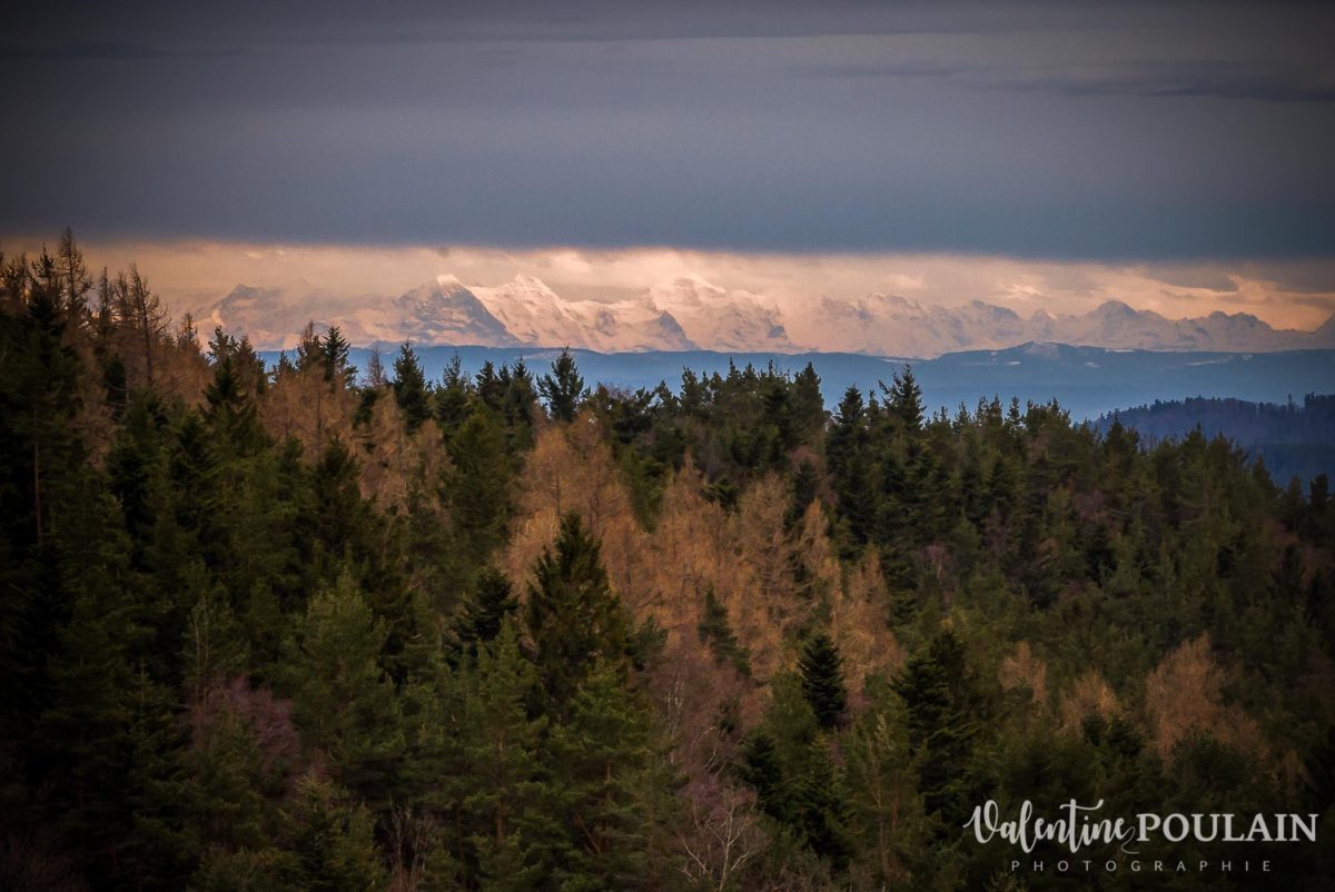 Shooting save the date montagne - Valentine Poulain Alpes