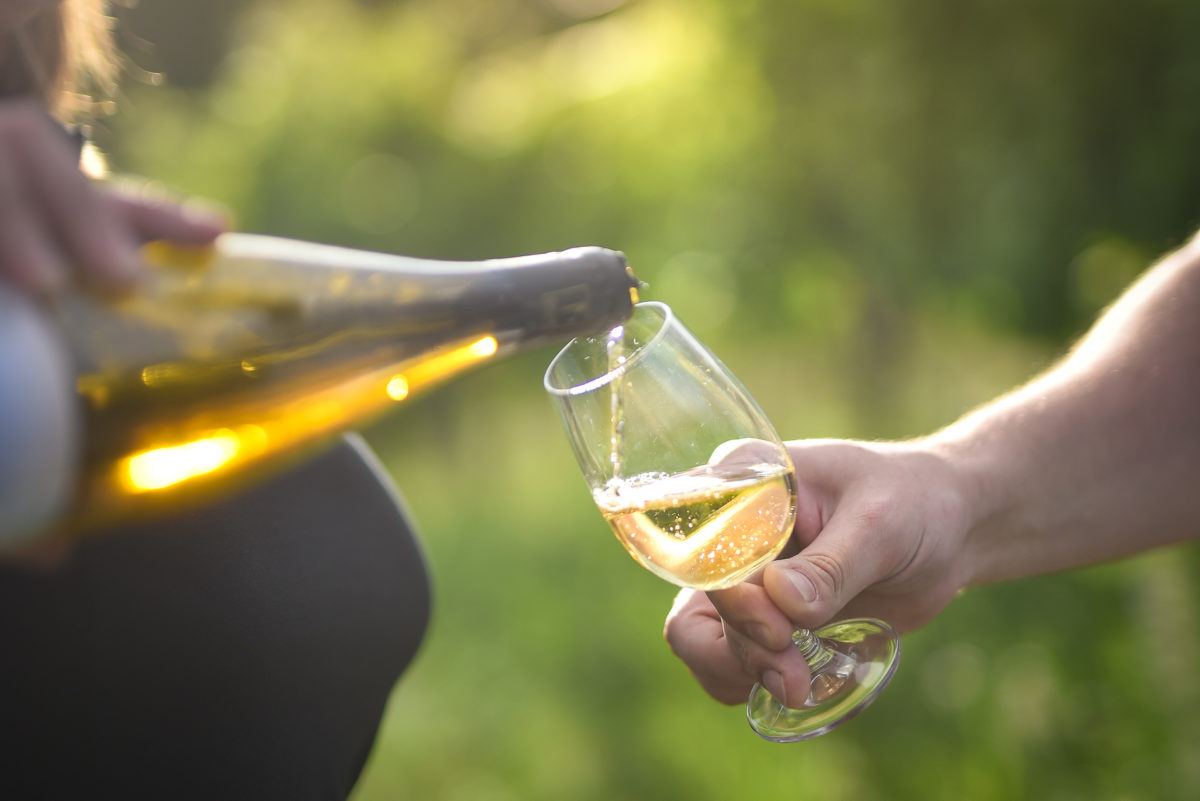 image domaine vigneron - Valentine Poulain